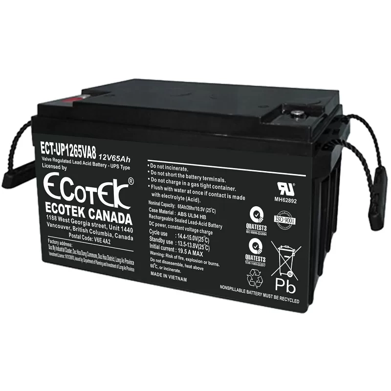 Ắc quy ECOTEK 12V-65Ah (ECT-UP1265VA8)