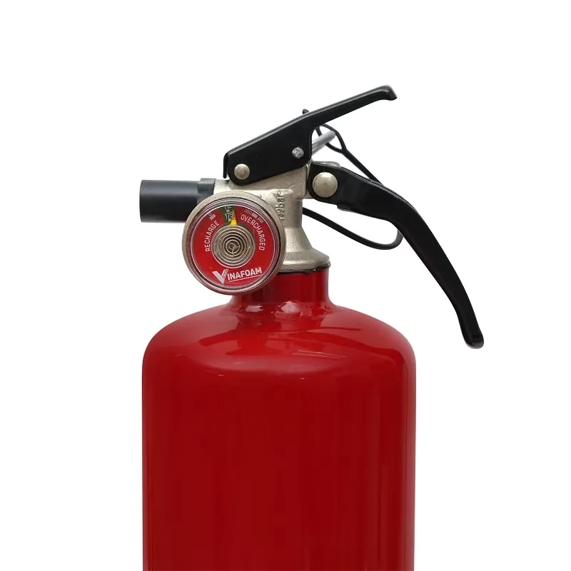 B&igrave;nh chữa ch&aacute;y bột ABC 1kg Vinafoam VP1
